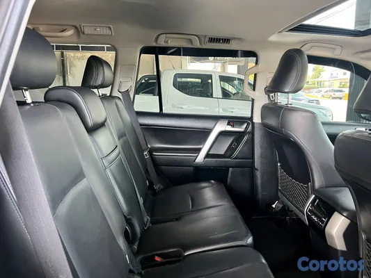 2019 Toyota Land Cruiser Prado — foto 10 / 17