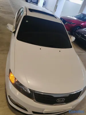 2010 Kia Lotze