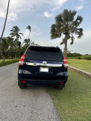2015 Toyota Land Cruiser Prado — foto 10 / 10