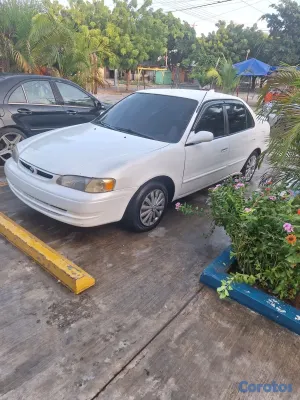 1999 Toyota Corolla — foto 6 / 6