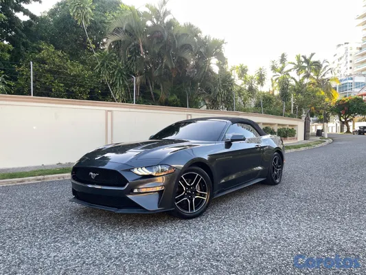 2019 Ford Mustang