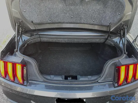 2019 Ford Mustang — foto 12 / 12
