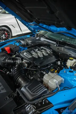 2024 Ford Mustang — foto 12 / 12