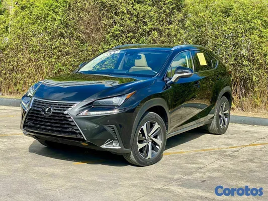 2018 Lexus NX