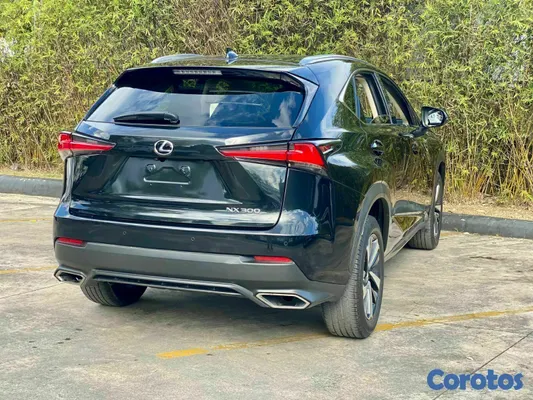 2018 Lexus NX — foto 9 / 10