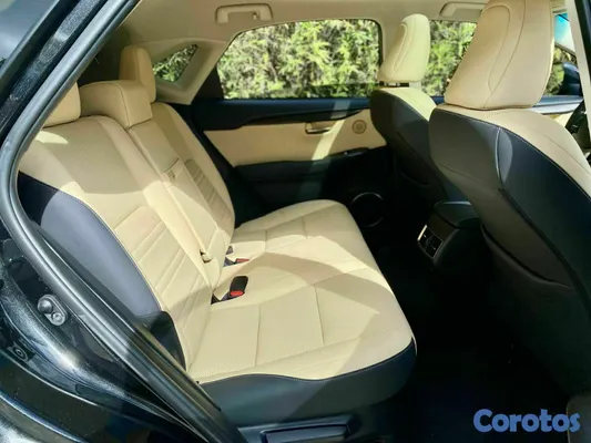 2018 Lexus NX — foto 10 / 10