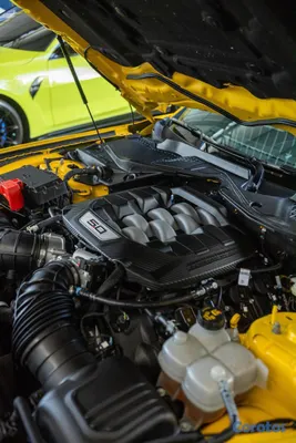 2024 Ford Mustang — foto 10 / 12