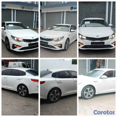 2019 Kia K-5 — foto 11 / 13