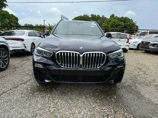 2019 BMW Serie X — foto 10 / 10