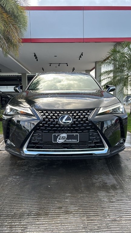 2024 Lexus UX 250 HYBRID — foto 2 / 9