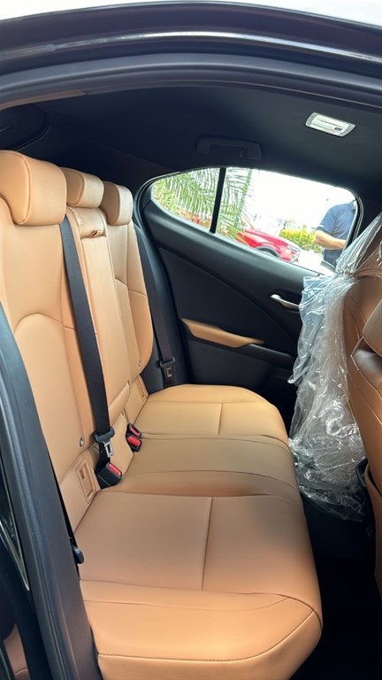 2024 Lexus UX 250 HYBRID — foto 7 / 9