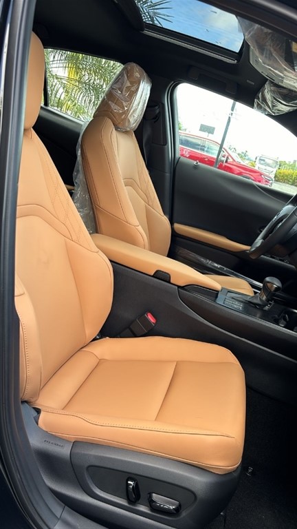 2024 Lexus UX 250 HYBRID — foto 8 / 9