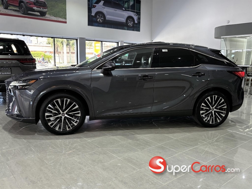 2025 Lexus RX 450 Hybrid + — foto 6 / 7