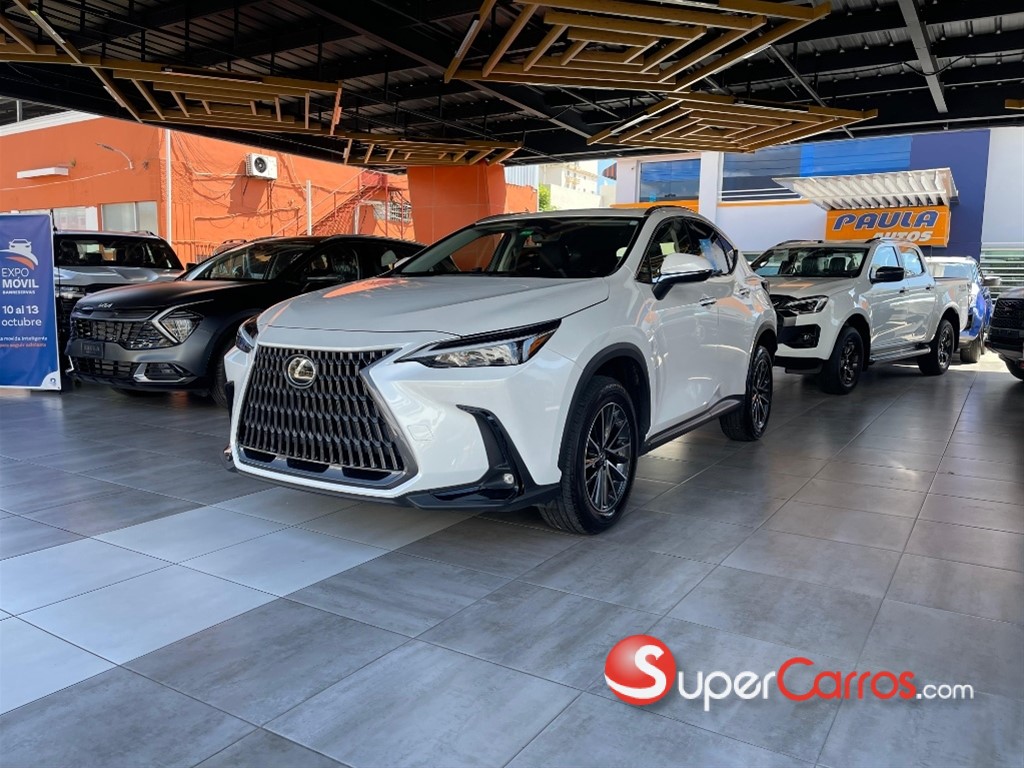2022 Lexus NX 250 — foto 10 / 10