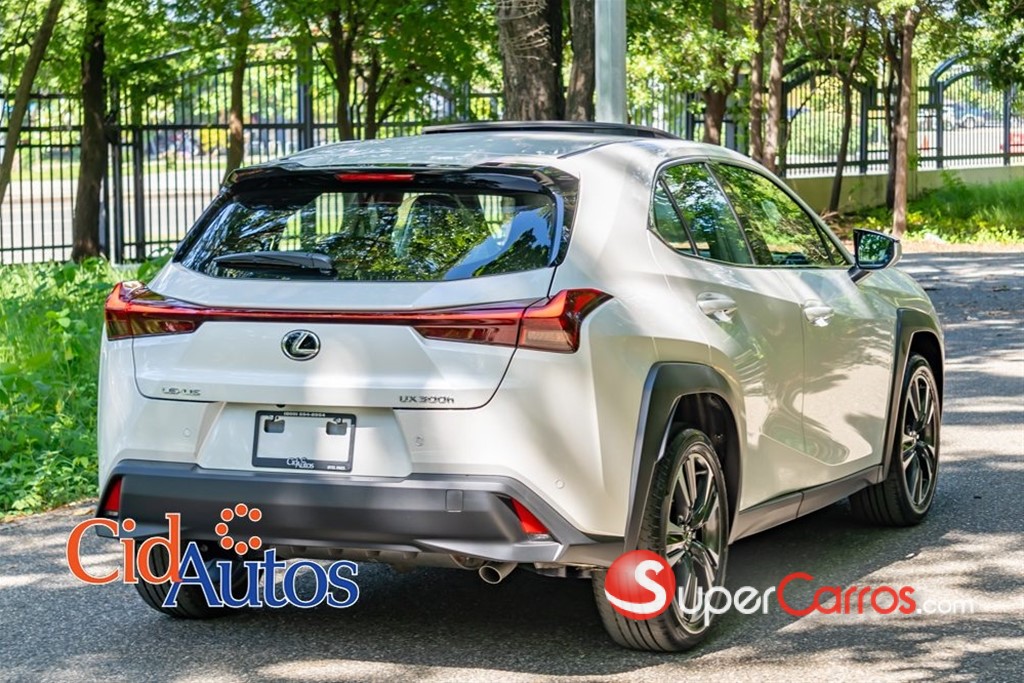 2026 Lexus UX 300 HYBRID — foto 11 / 12