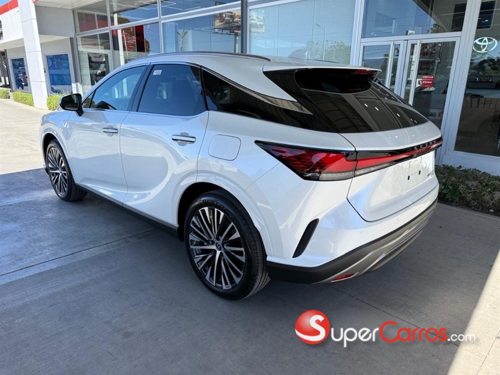 2025 Lexus RX 350H — foto 10 / 10