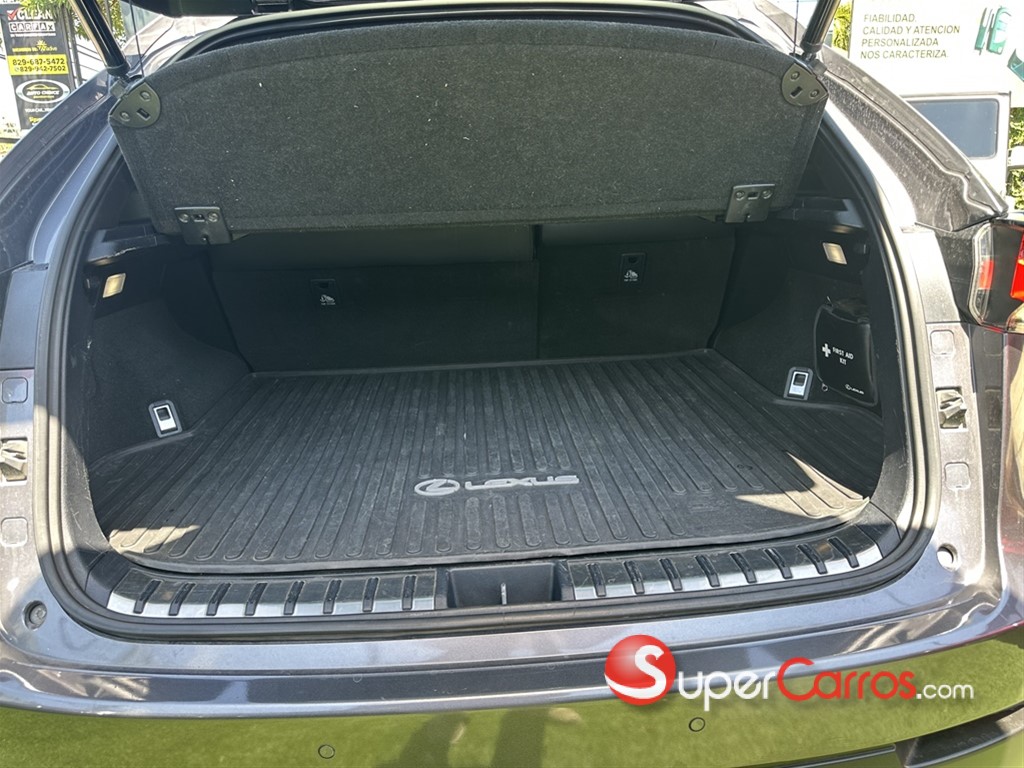 2018 Lexus NX 300 F Sport — foto 9 / 12