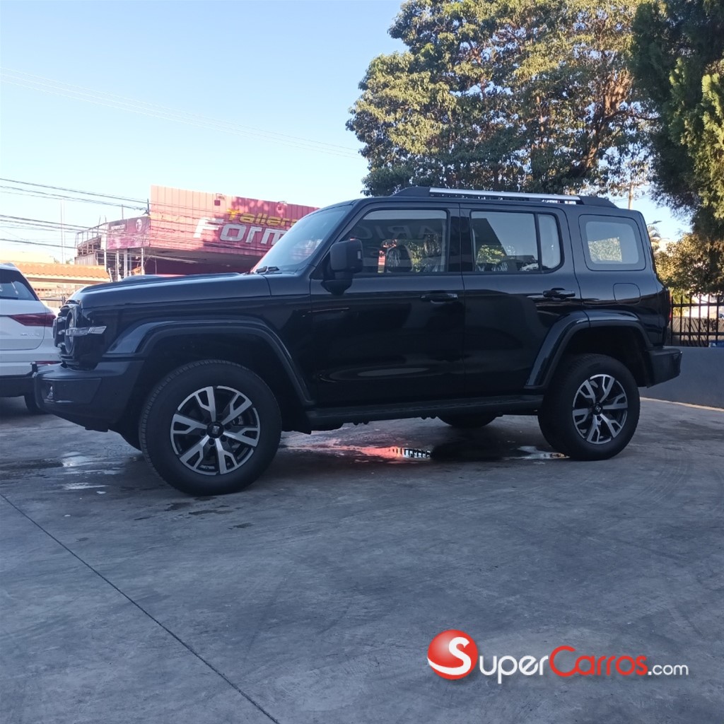 2025 Great Wall Tank 300 — foto 4 / 11