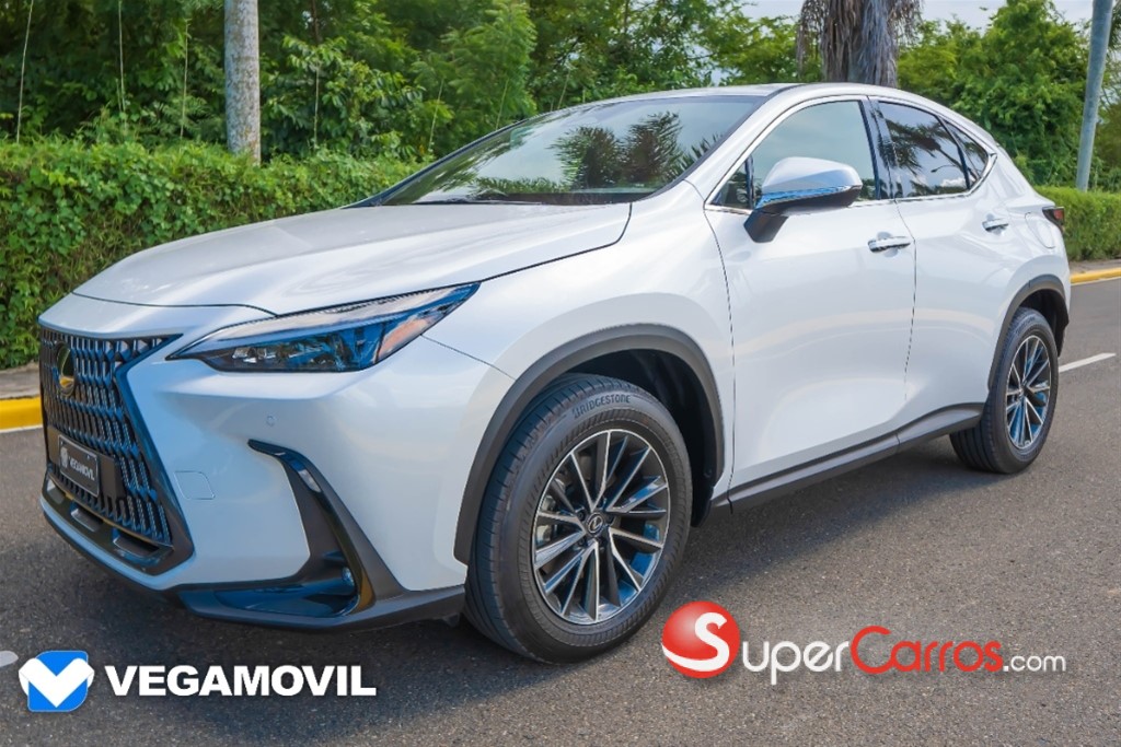 2025 Lexus NX 250