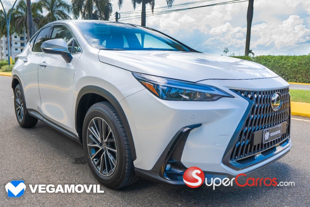 2025 Lexus NX 250 — foto 2 / 12
