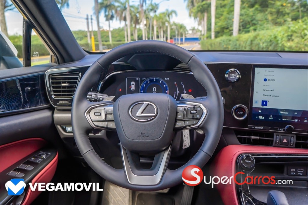 2025 Lexus NX 250 — foto 11 / 12