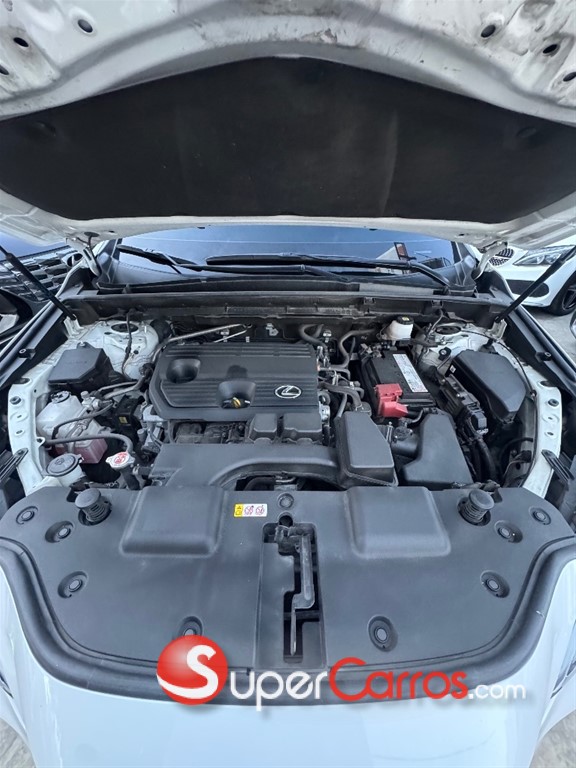2023 Lexus NX 250 — foto 12 / 12
