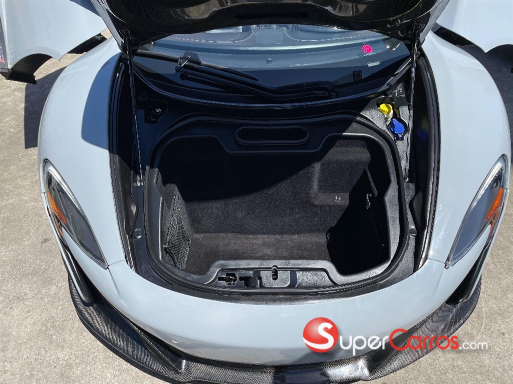 2015 McLaren 650 Spider — foto 10 / 11