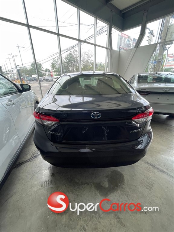 2025 Toyota Corolla Hybrido — foto 7 / 9