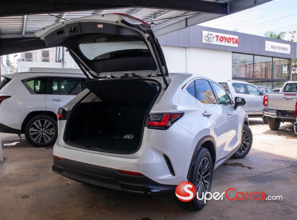 2026 Lexus NX 250 — foto 8 / 10