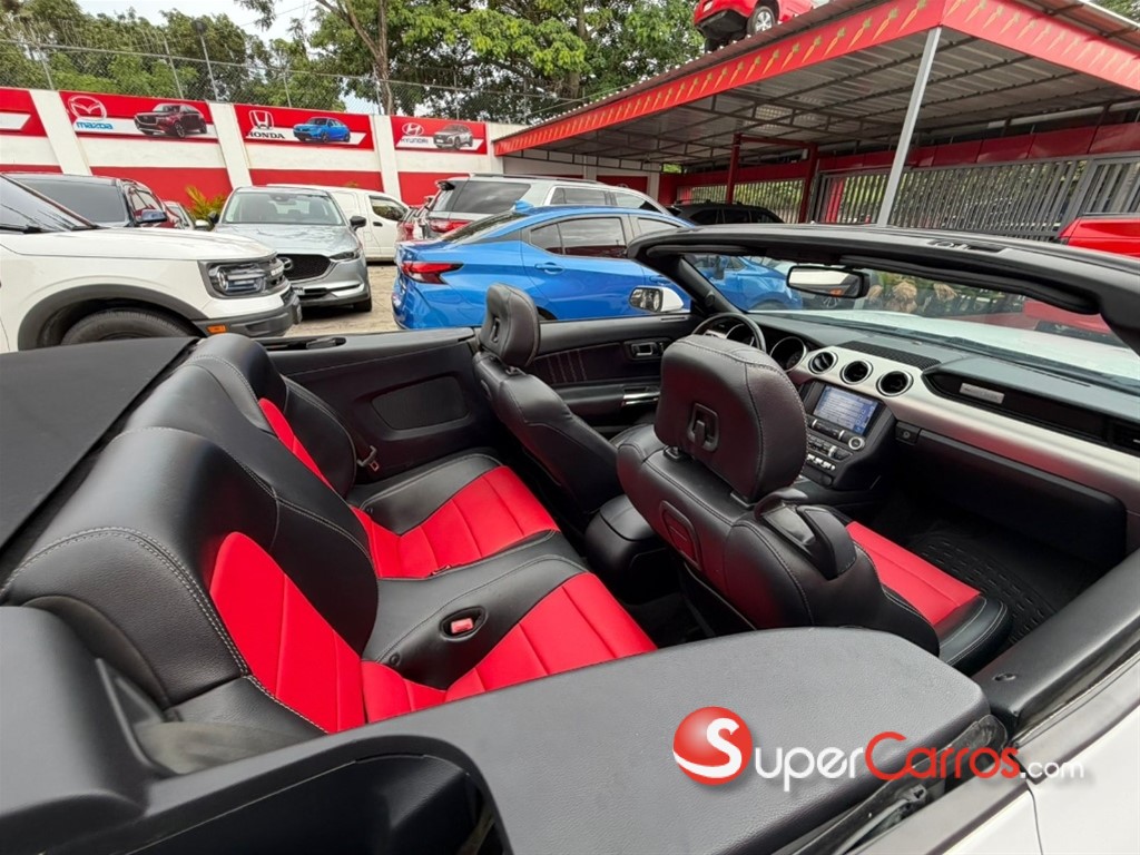 2019 Ford Mustang Ecoboost — foto 10 / 10