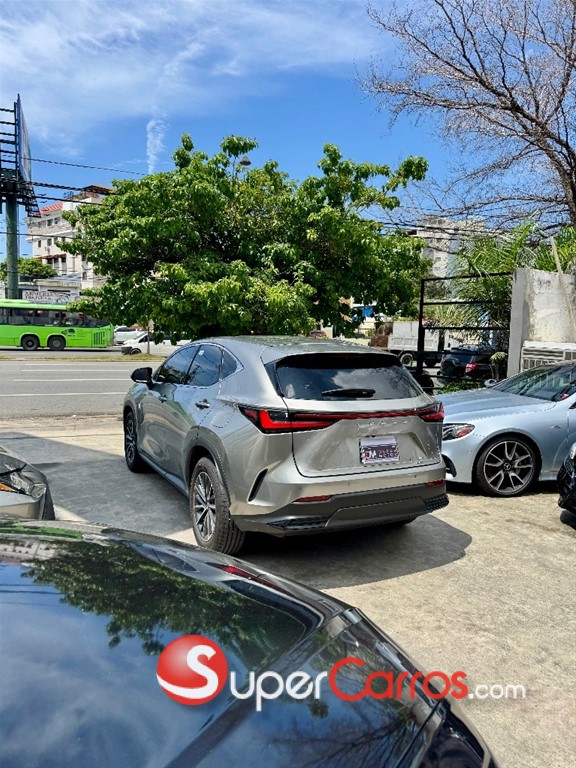 2024 Lexus NX 250 — foto 6 / 12