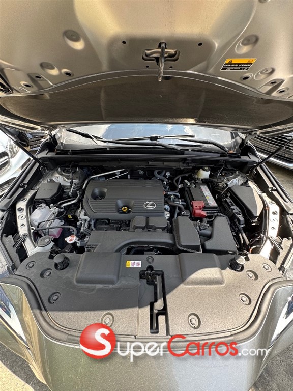 2024 Lexus NX 250 — foto 12 / 12