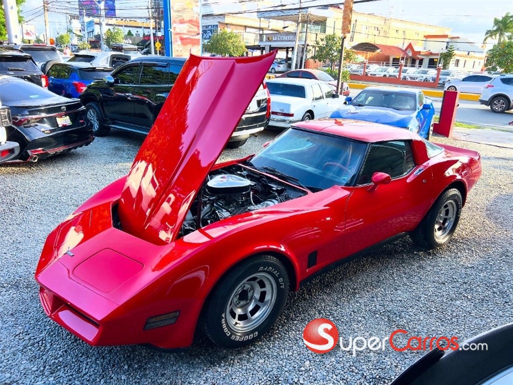1981 Chevrolet Corvette