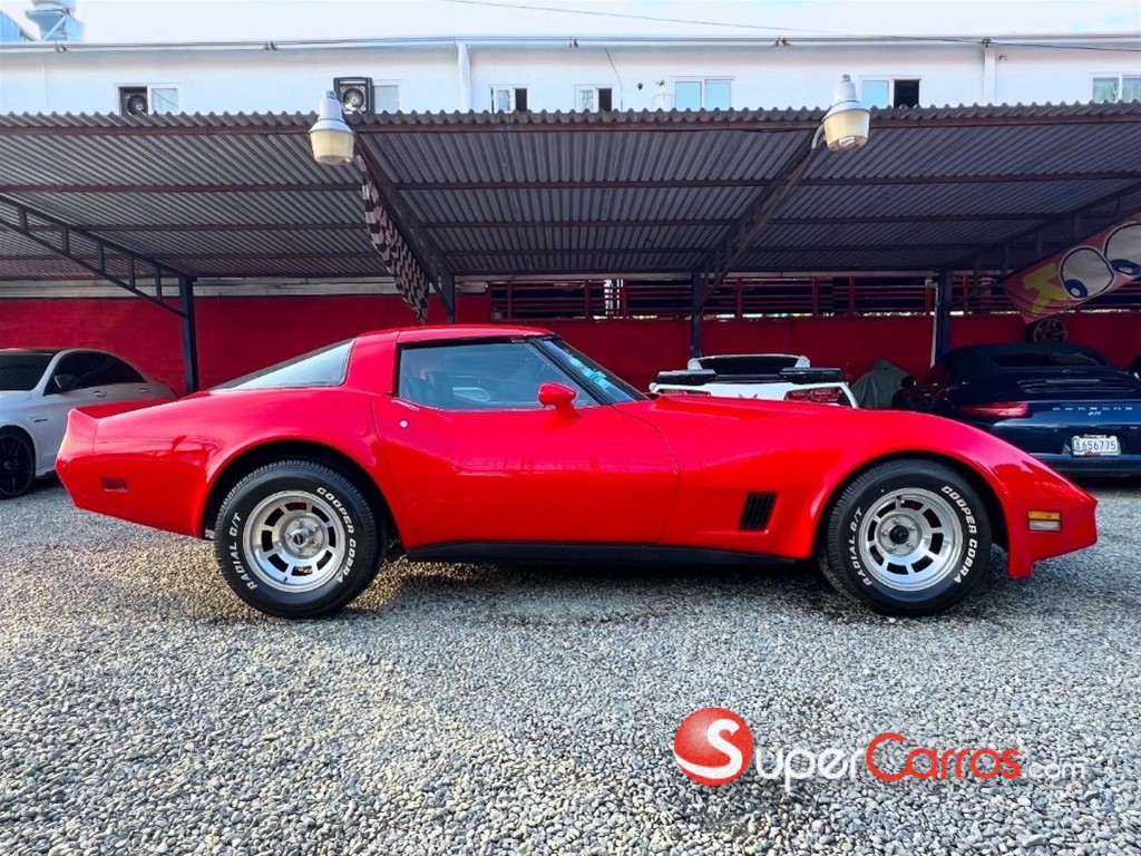 1981 Chevrolet Corvette — foto 10 / 12