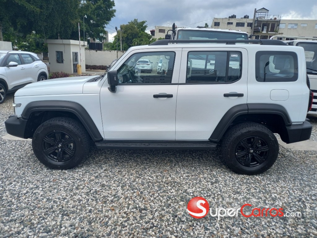 2025 Great Wall Tank 300 — foto 10 / 12