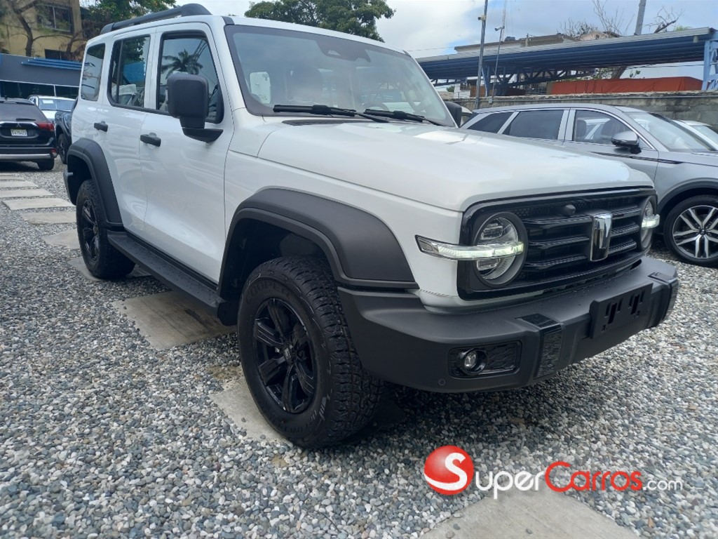 2025 Great Wall Tank 300 — foto 11 / 12
