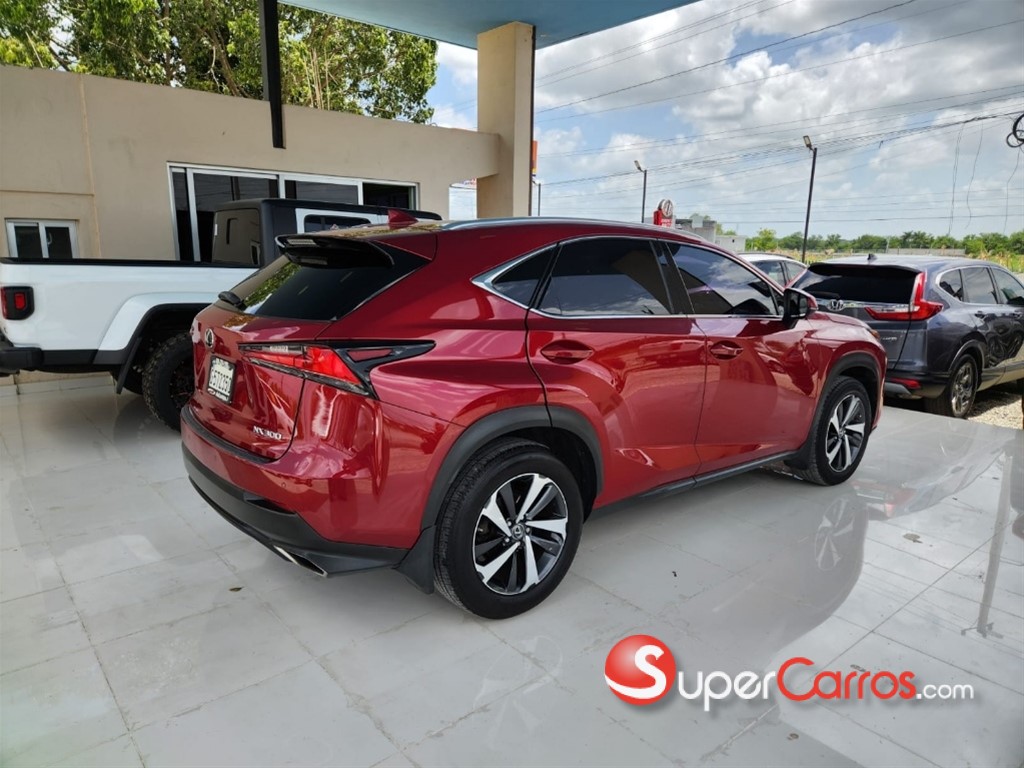 2018 Lexus NX 300 — foto 4 / 11