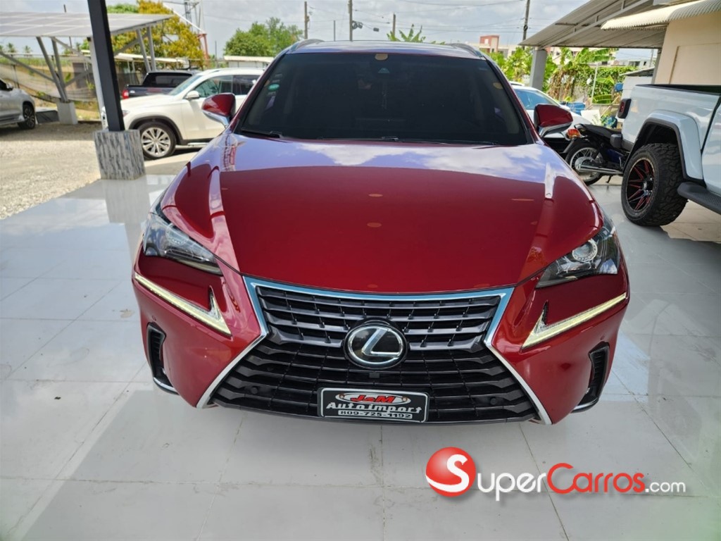 2018 Lexus NX 300 — foto 10 / 11