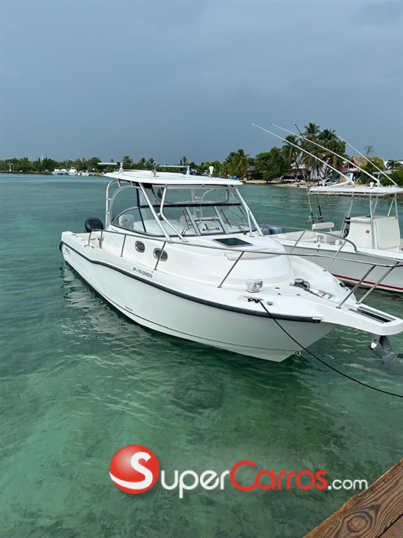 2008 Boston Whaler De Pesca