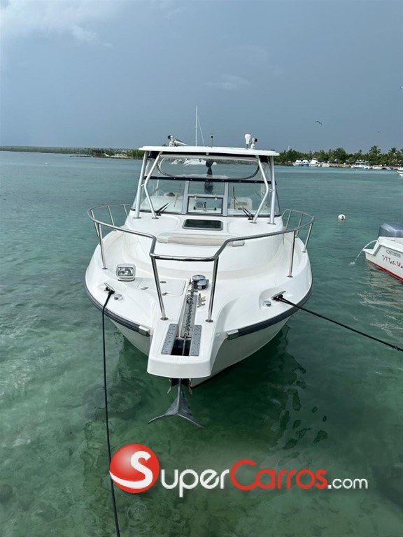 2008 Boston Whaler De Pesca — foto 2 / 4