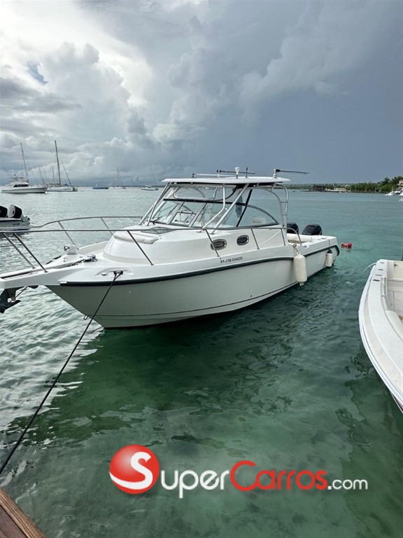 2008 Boston Whaler De Pesca — foto 3 / 4