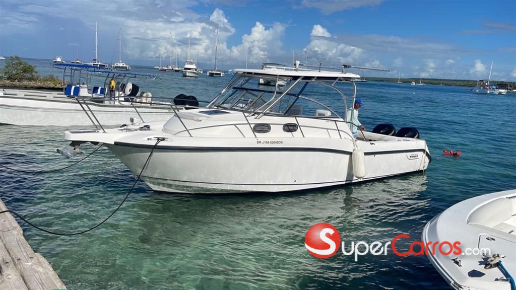 2008 Boston Whaler De Pesca — foto 4 / 4