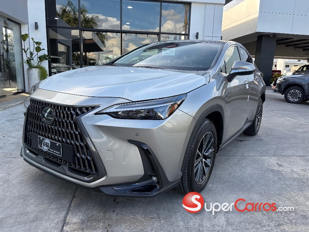 2025 Lexus NX 250