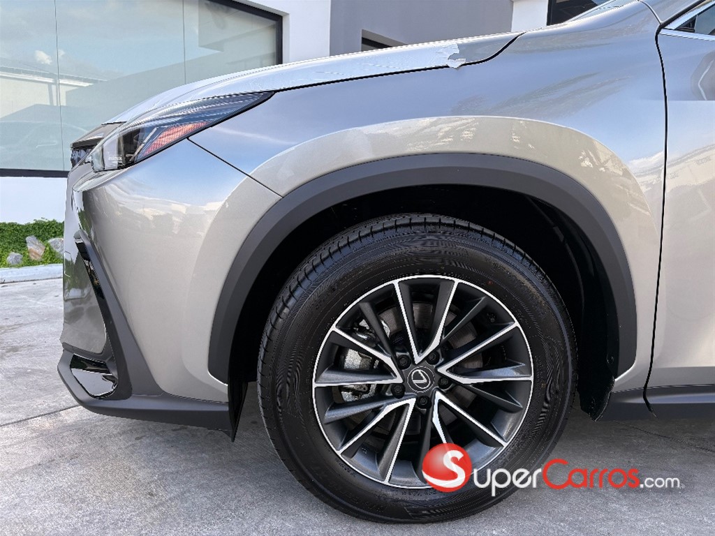 2025 Lexus NX 250 — foto 2 / 6