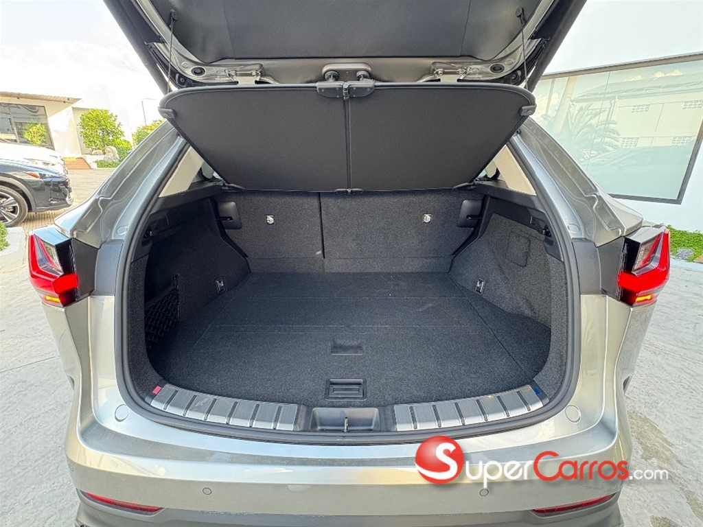 2025 Lexus NX 250 — foto 6 / 6
