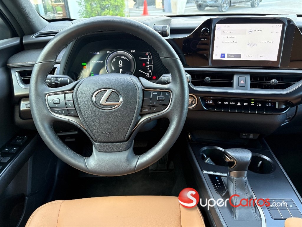 2024 Lexus UX 250 HYBRID — foto 8 / 9