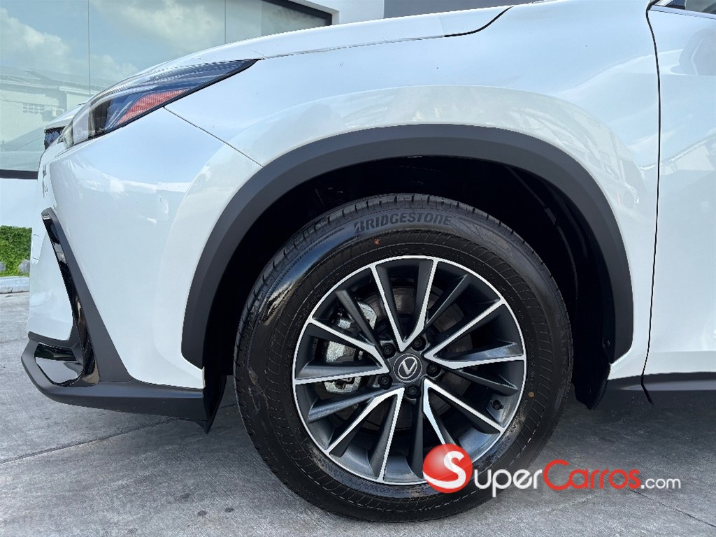 2025 Lexus NX 350 Hybrid — foto 2 / 9