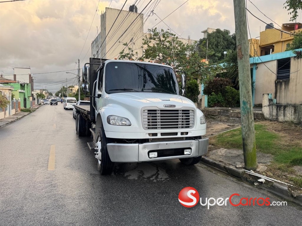 2014 Freightliner Camion