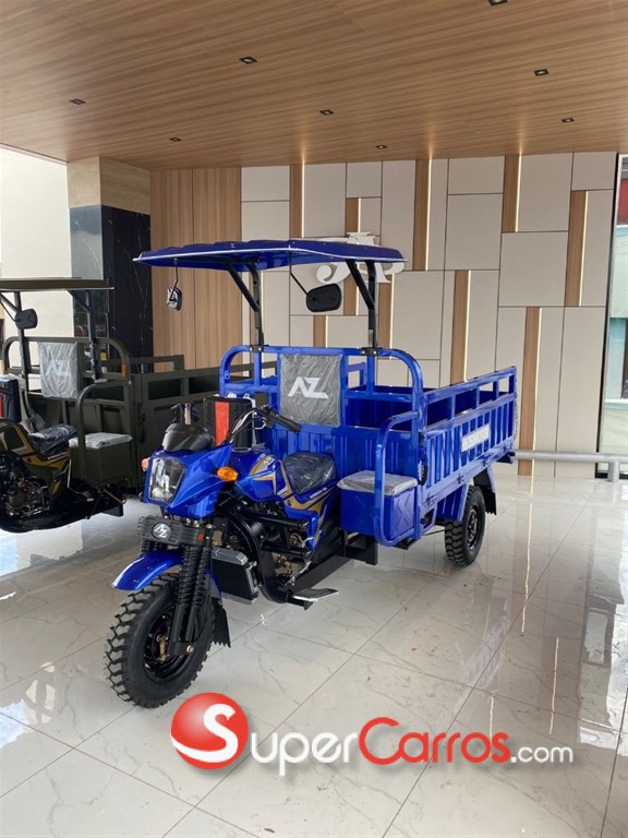 2025 AZ 250