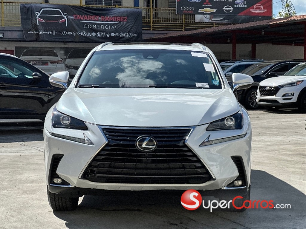 2019 Lexus NX 300